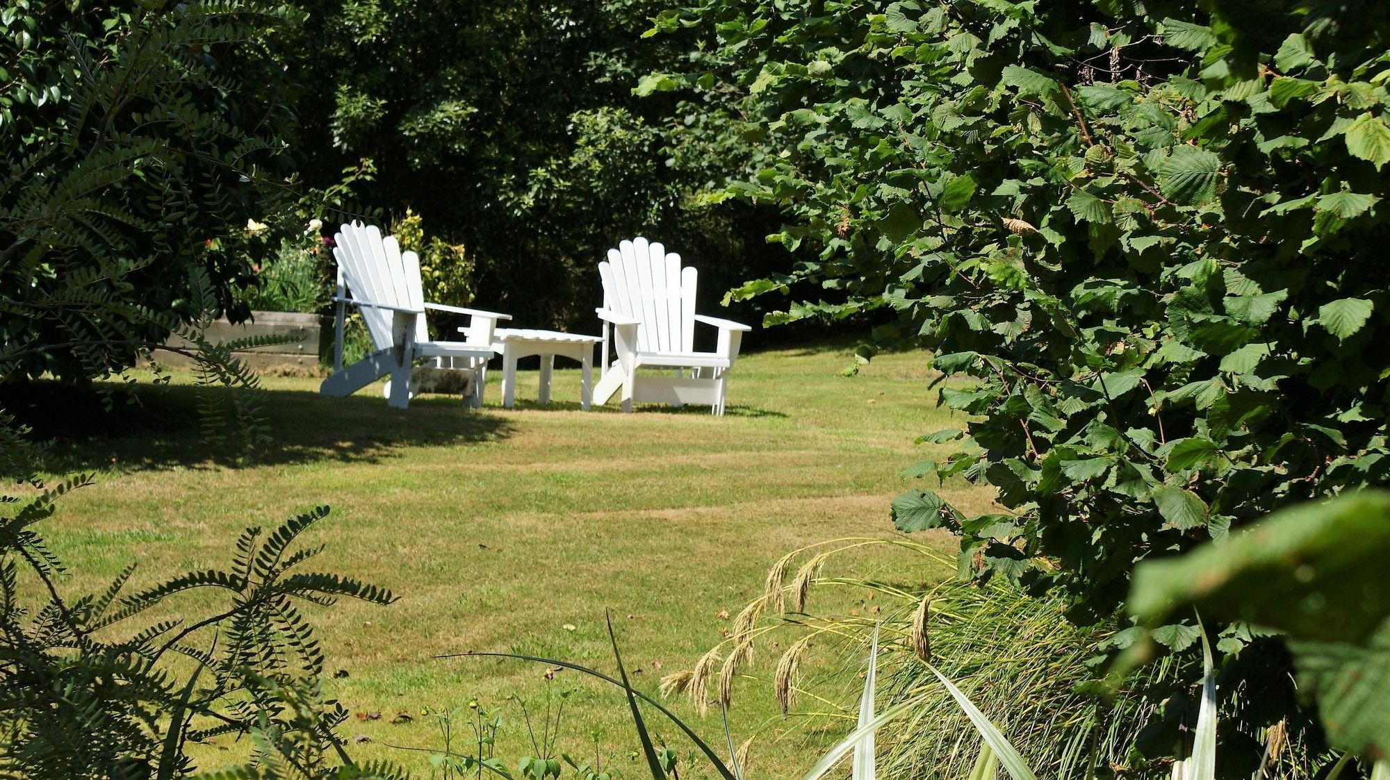 Chalet Eiger Taupo Kültér fotó